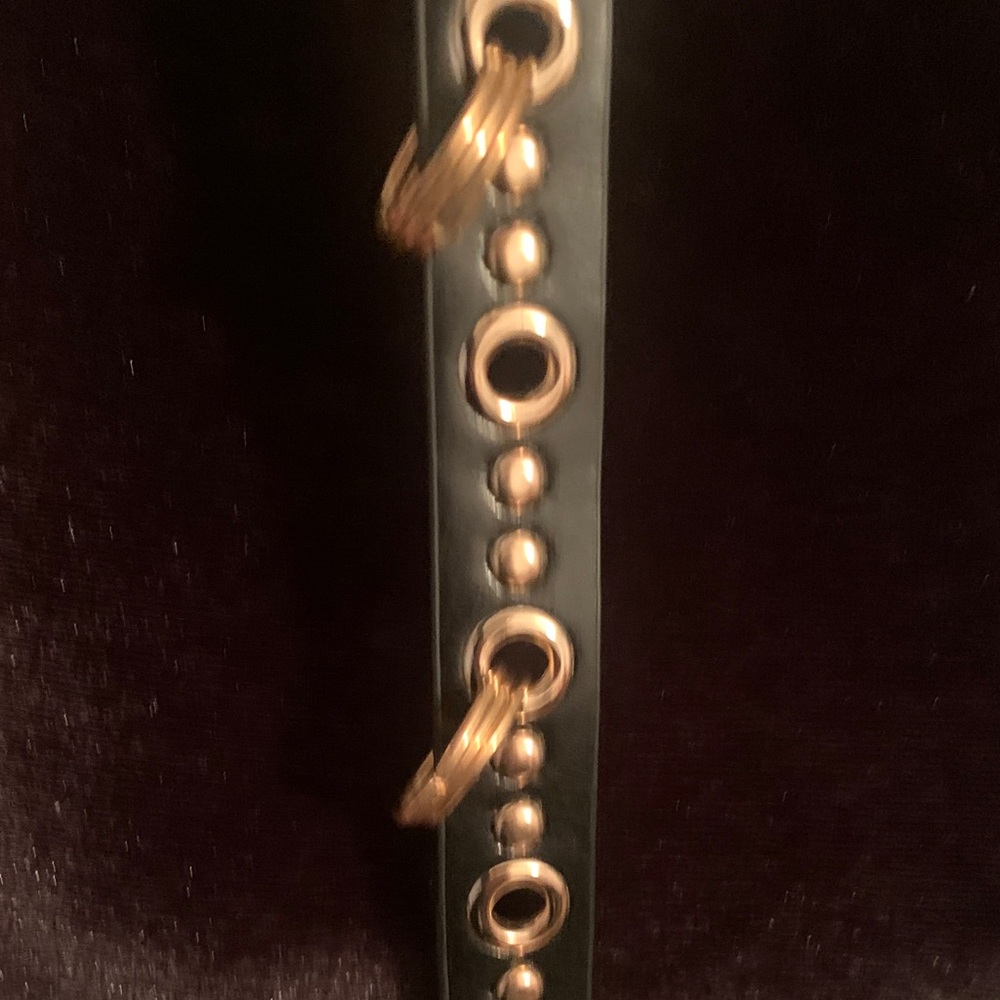 🔥LOW PRICE 🔥NEW- RACHEL ZOE LA NY Chic Black Belt with Gold Rings Belt - Picture 4 of 7
